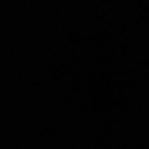 Meet your Posher, Charli